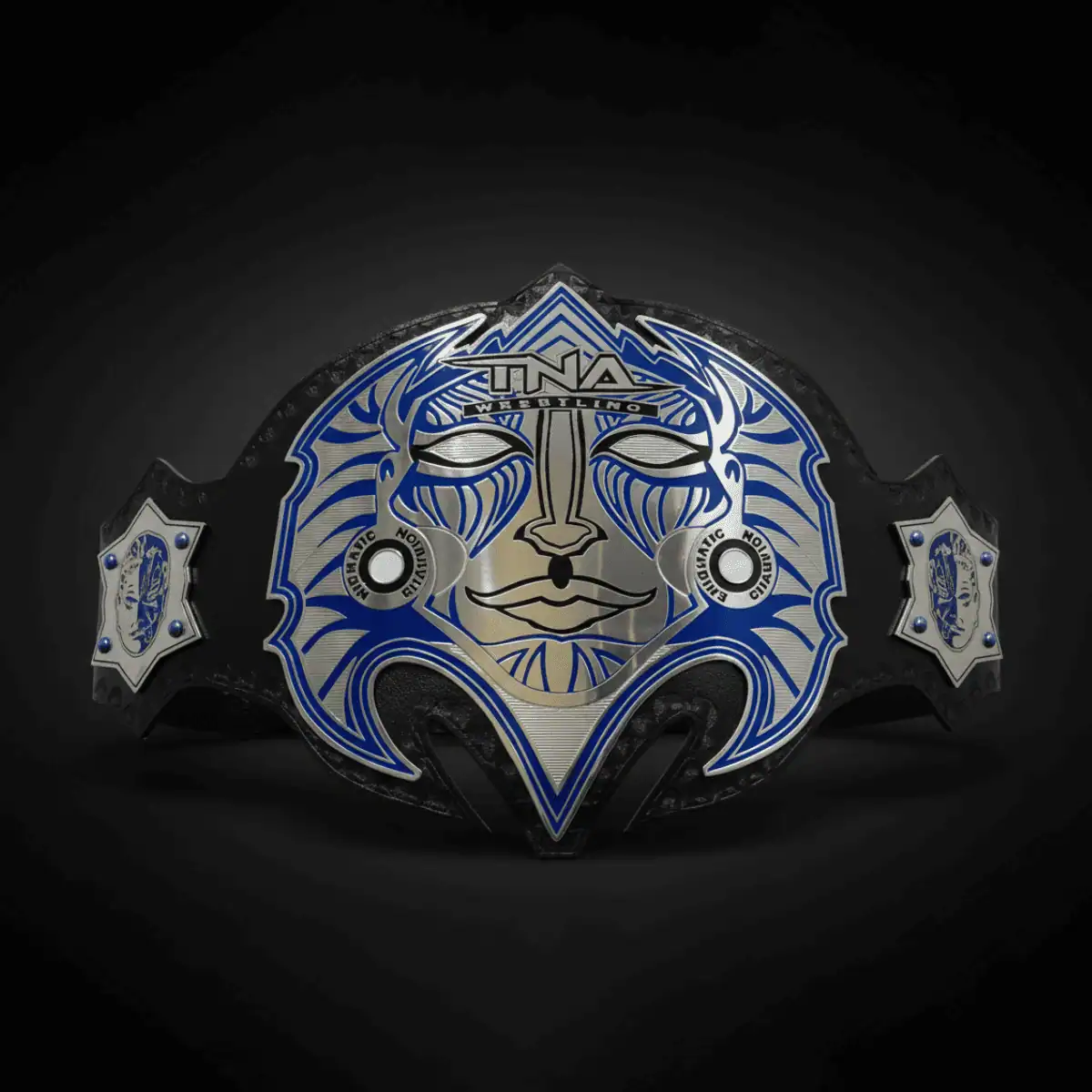 2 TNA Immortal Jeff Hardy Championship Belt - Image 1