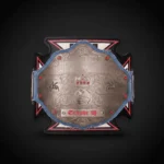 Triple H 30 Years Evolution World Heavyweight Championship Title Belt