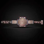 Triple H 30 Years Evolution World Heavyweight Championship Title Belt - Image 3