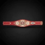San Francisco 49ers WWE Legacy Title Belt - Image 3