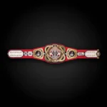 Washington Wizards WWE Legacy Title Belt - Image 3