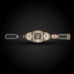 Las Vegas Raiders WWE Legacy Title Belt - Image 3