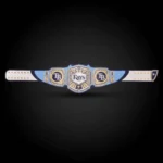 Tampa Bay Rays WWE Legacy Title Belt - Image 3
