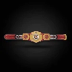 South Carolina Gamecocks WWE Legacy Title Belt - Image 3