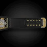 Solo Sikoa WWE United States Championship Replica Title Belt - Image 3