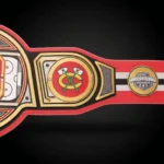 Chicago Blackhawks WWE Legacy Title Belt - Image 2