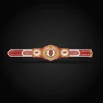 Arkansas Razorbacks WWE Legacy Title Belt - Image 3