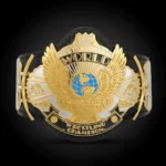 WWE Winged Eagle Dual Plated Championship Replica Title Belt