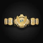 WWE Winged Eagle Dual Plated Championship Replica Title Belt - Image 2
