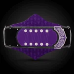 The Undertaker 35 Years Deadman Legacy Championship Title Belt - Image 3