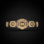 Michigan Wolverines WWE Legacy Title Belt - Image 2