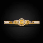 Nashville Predators WWE Legacy Title Belt - Image 3