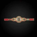 Minnesota Wild WWE Legacy Title Belt - Image 3