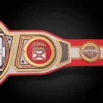 Florida Panthers WWE Legacy Title Belt - Image 2