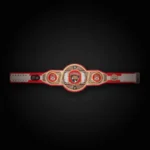 Florida Panthers WWE Legacy Title Belt - Image 3