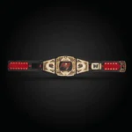 Tampa Bay Buccaneers WWE Legacy Title Belt - Image 3