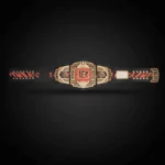 Cincinnati Bengals WWE Legacy Title Belt - Image 3