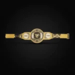 Pittsburgh Penguins WWE Legacy Title Belt - Image 3