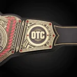 Roman Reigns Tribal Chief Championship Replica Title Belt - Image 2